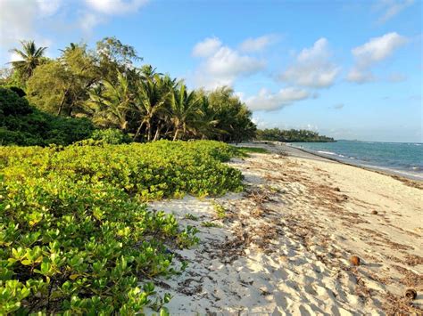 Tiwi Tatu, Tiwi – Updated 2024 Prices .